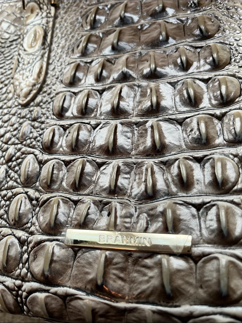 Brahmin beautiful cami